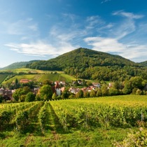 THE PALATINATE