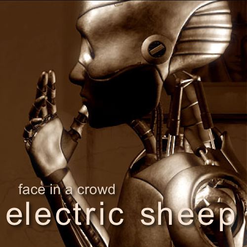 Electric Sheep