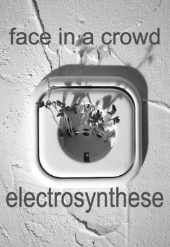 Electrosynthese